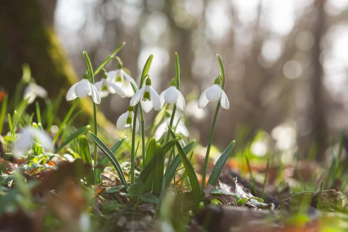 Какой будет погода в марте в Казахстане