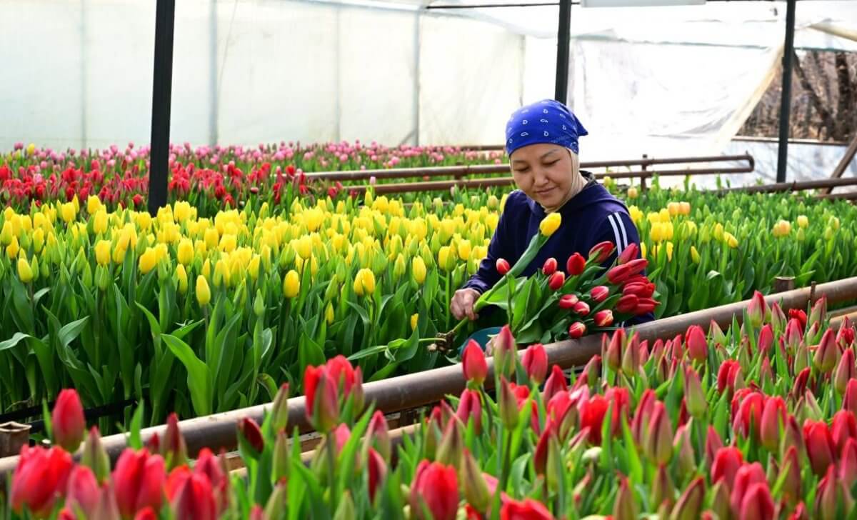 Все цвета бизнеса