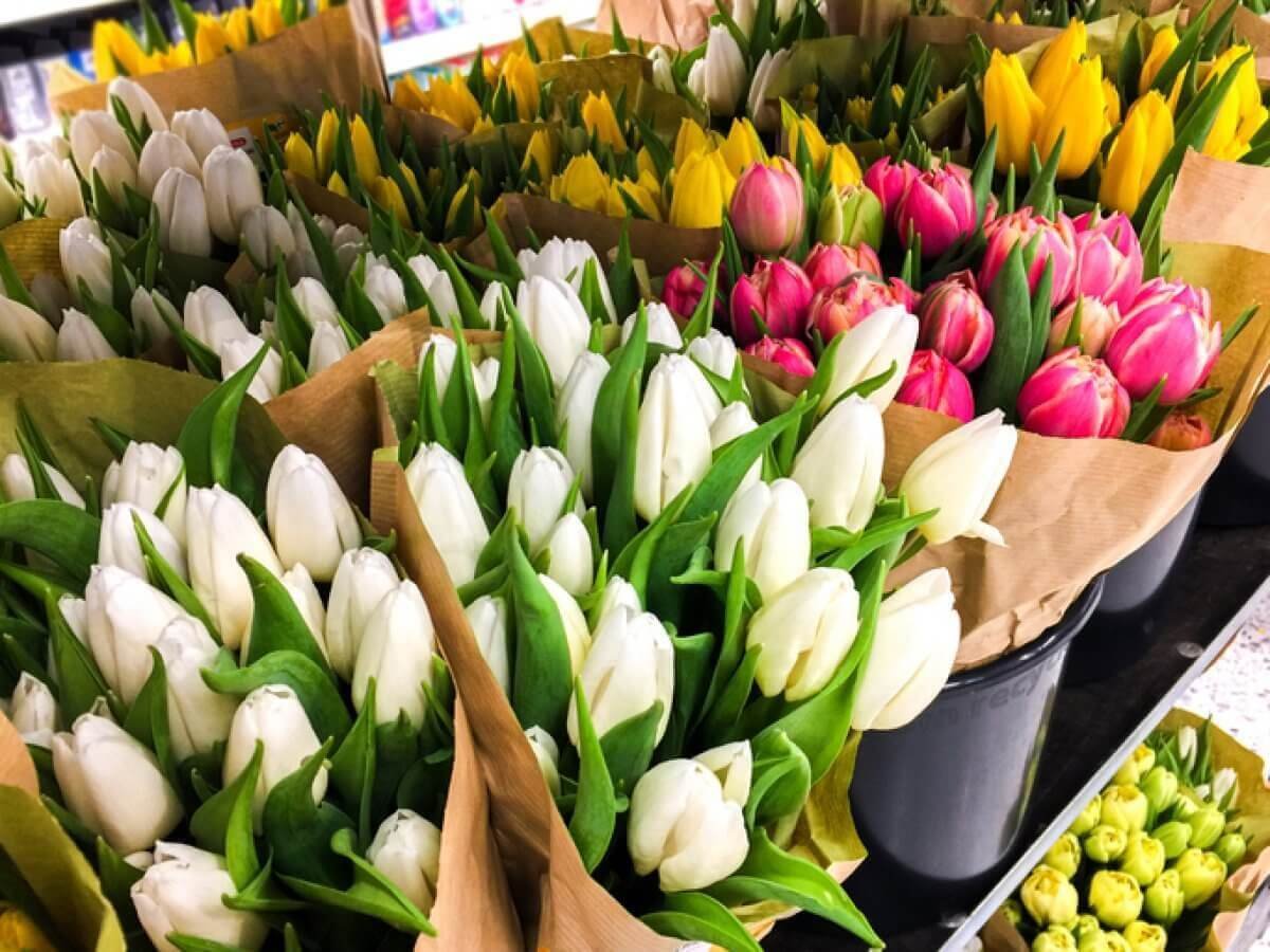 Как отметят 8 Марта в Алматы