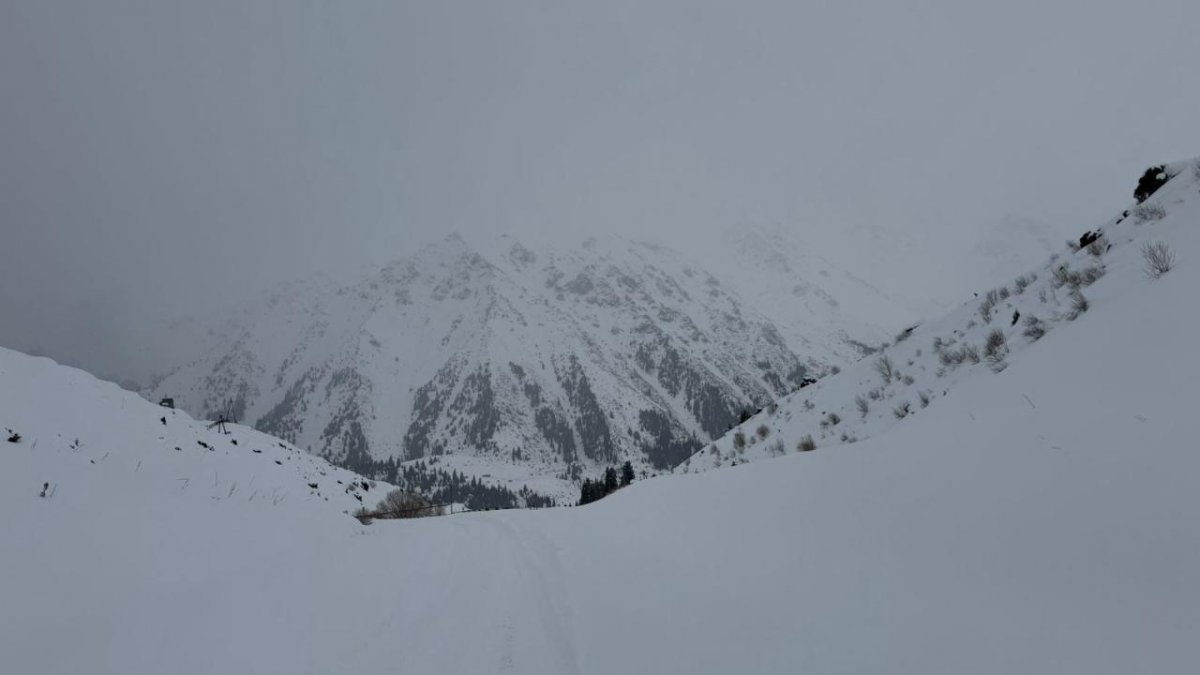 Высота снежного покрова вдвое превышает норму: МЧС предупреждает о лавиноопасности