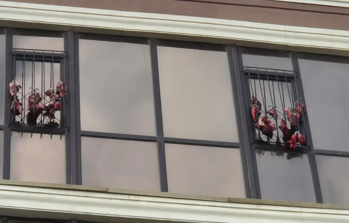 Мясо развесили на решетках окон элитного ЖК в Актау