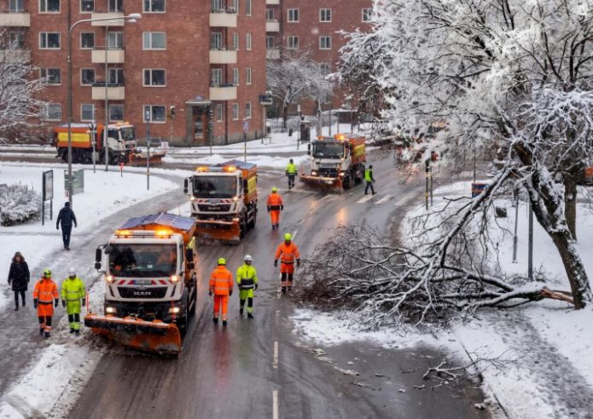 Шымкент накроет туман в ближайшие дни