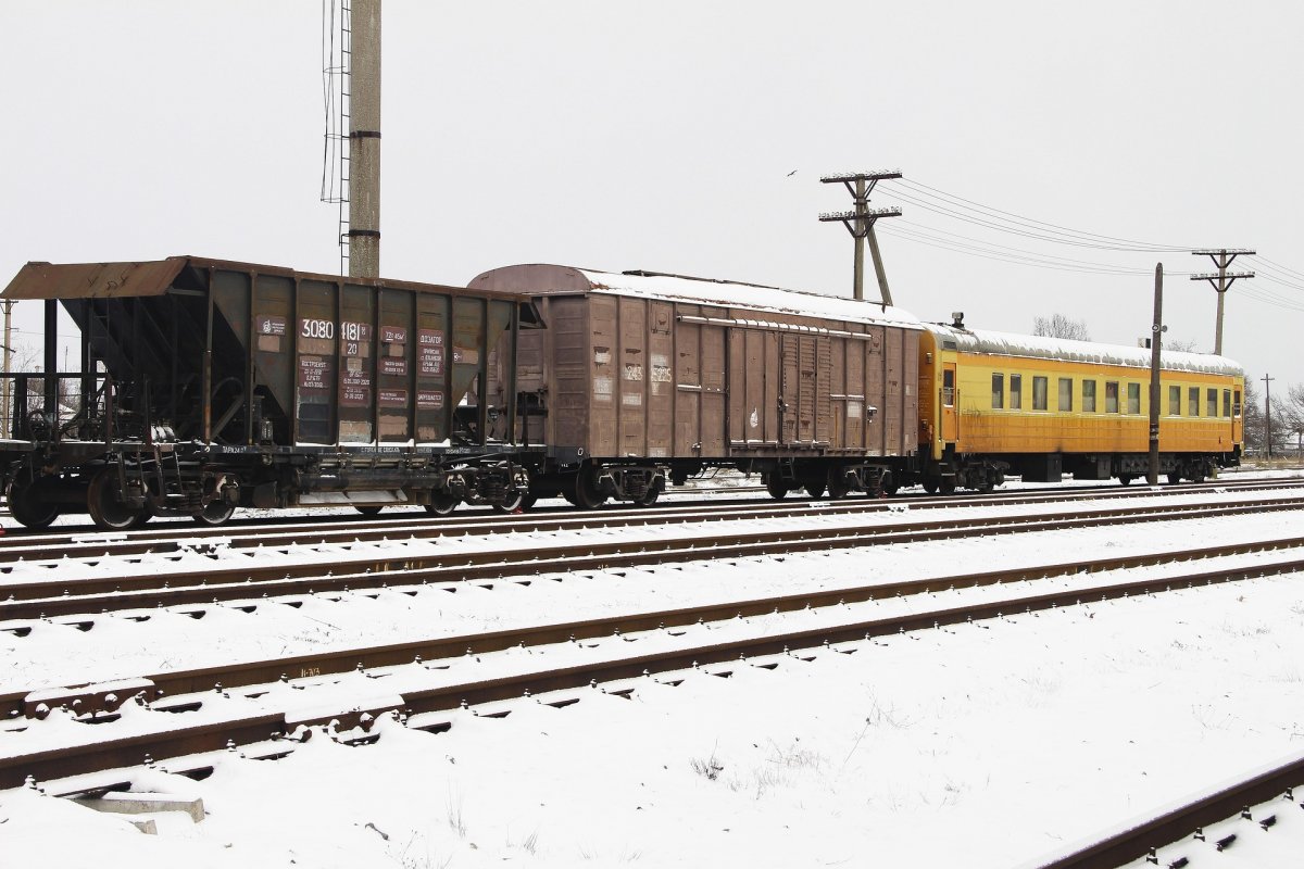 Поезд сбил 11 лошадей на железнодорожных путях в Акмолинской области