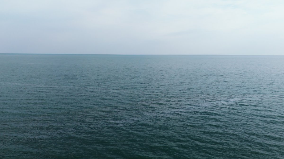 В Казахстане разработали вторую фазу проекта по сохранению Северного Арала