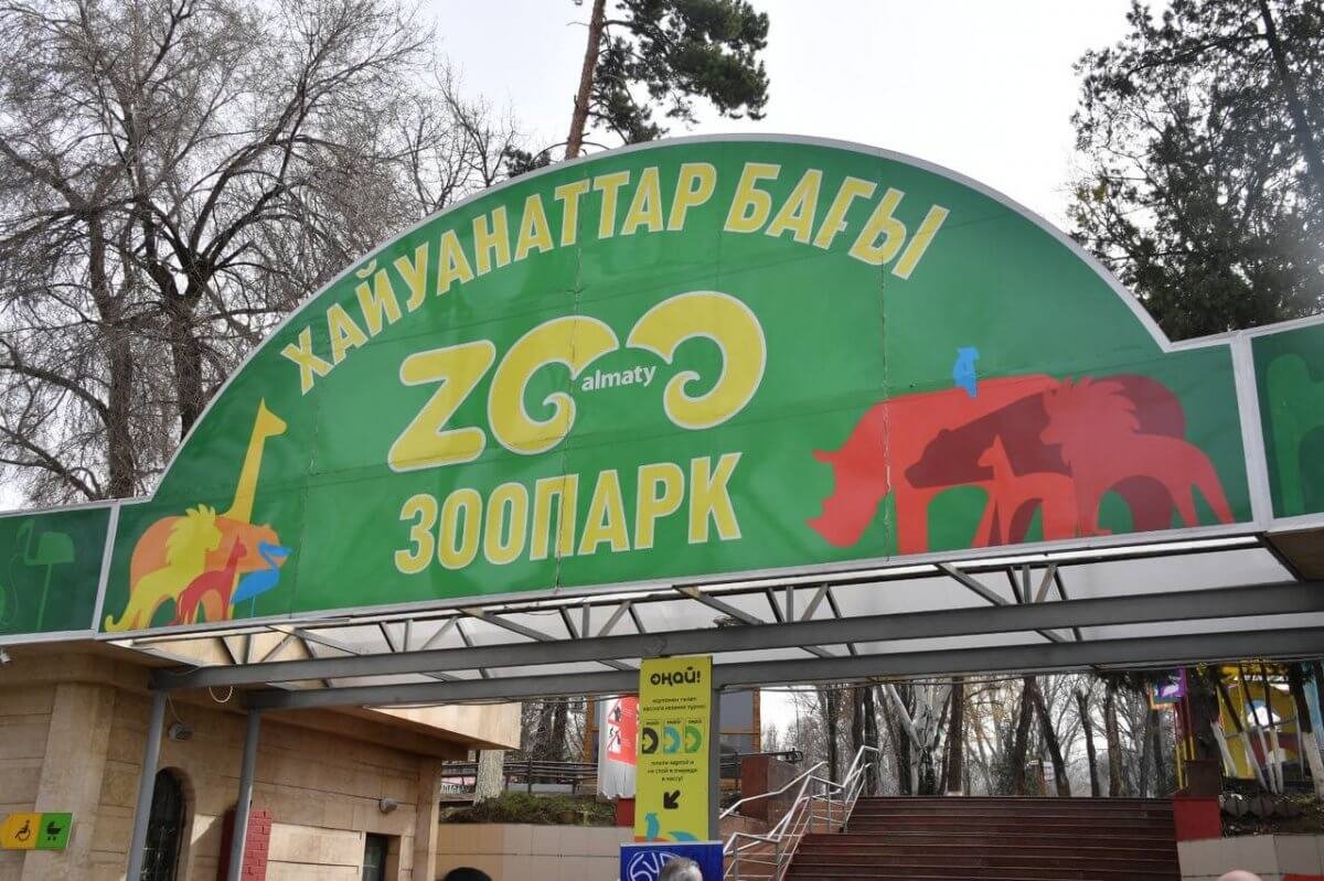 Новые обитатели из Новой Гвинеи появились в зоопарке Алматы (ВИДЕО)