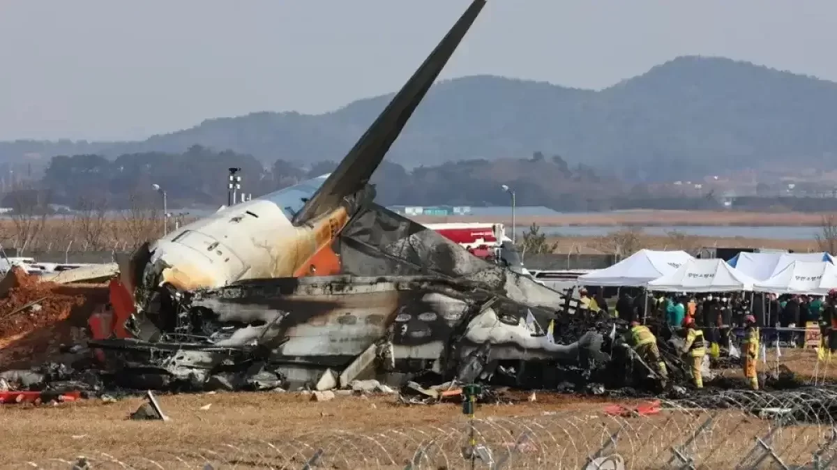 Чиновников накажут за задержку в поиске останков жертв авиакатастрофы в Южной Корее