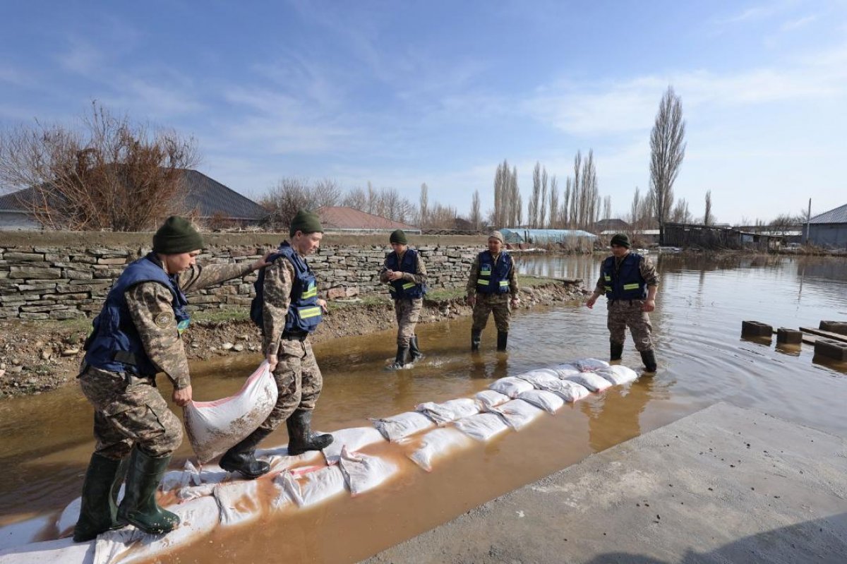 Снег всему виной?