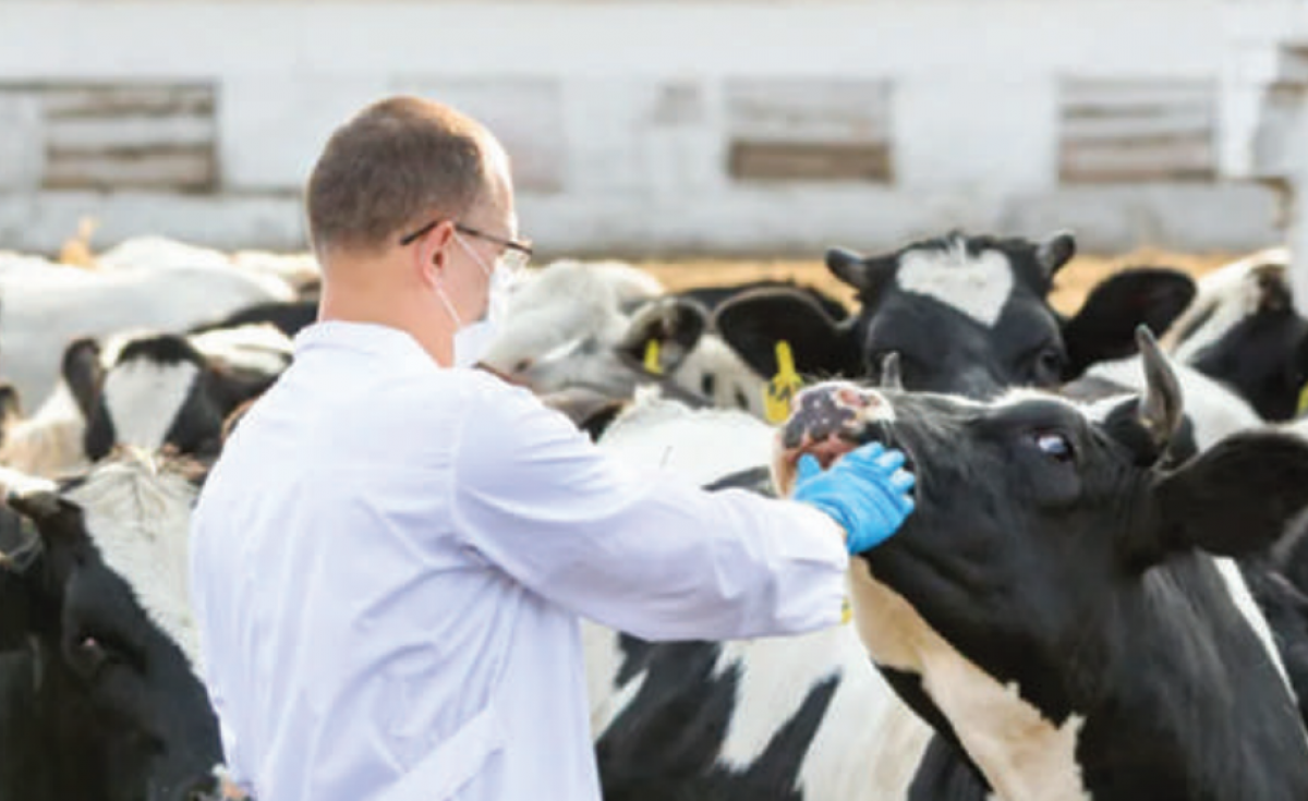 Важная кампания