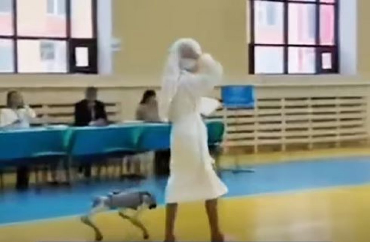 Астанчанка в халате и с собакой-роботом пришла на референдум (ВИДЕО)