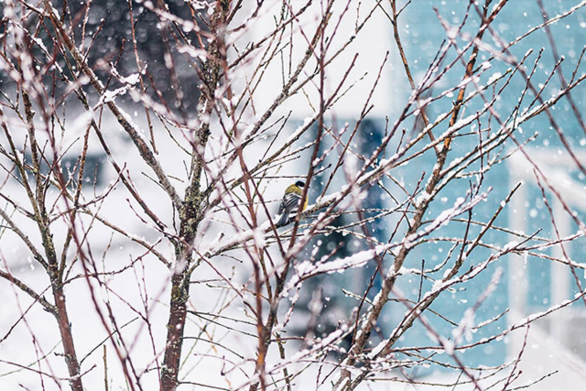 Ночью минус, днем плюс: прогноз погоды в Астане