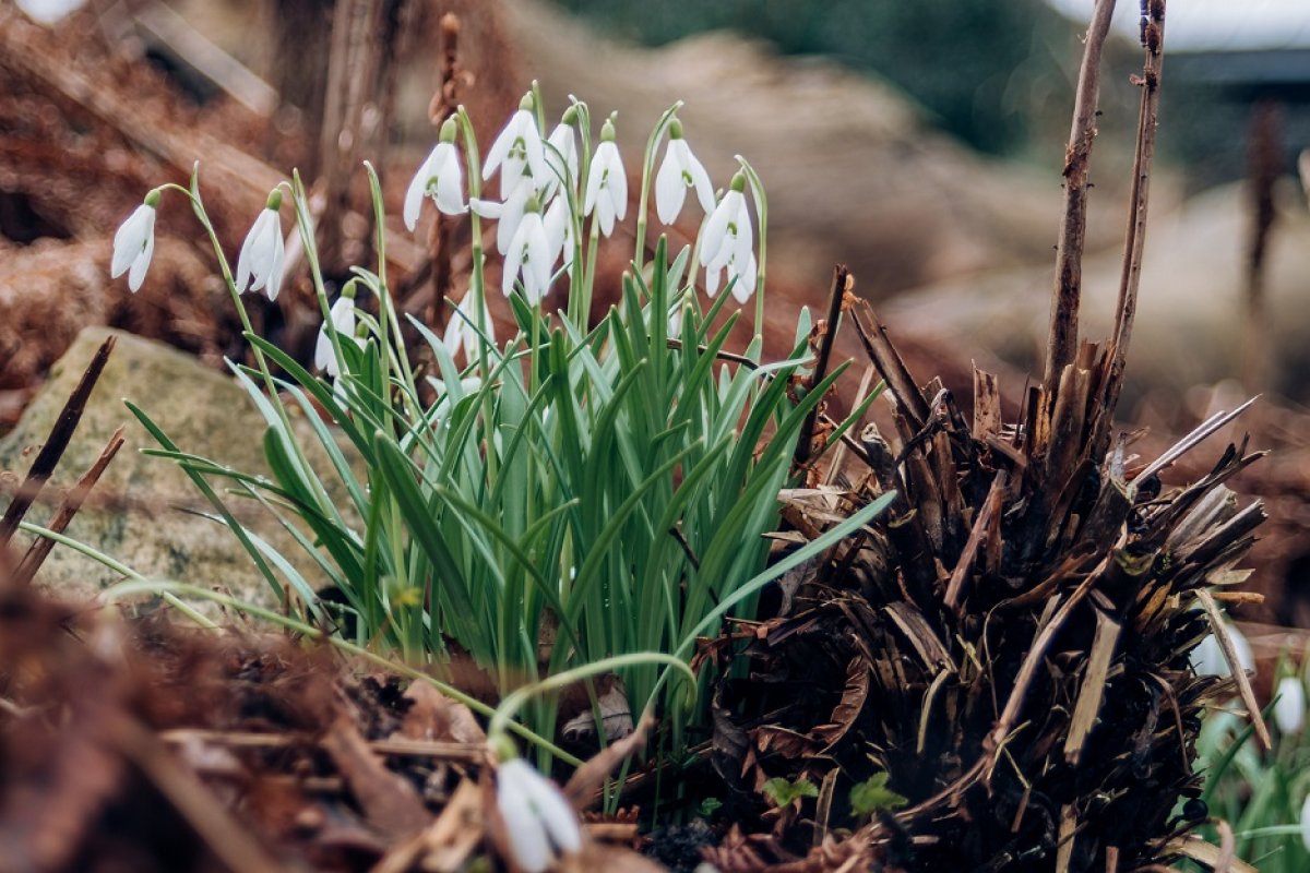 Солнечно и тепло будет в Алматы 18 марта