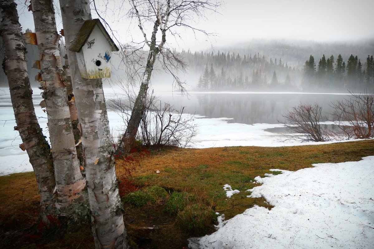 Туман, гололед и пыльные бури накроют Казахстан