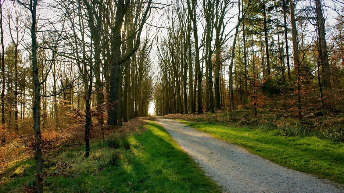 До плюс 23 градусов потеплеет в Казахстане