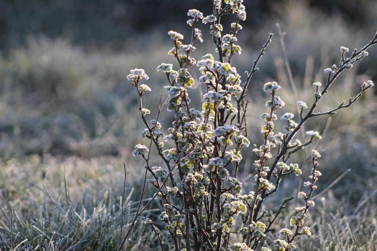 От -10 до +5°С: прогноз погоды в Астане