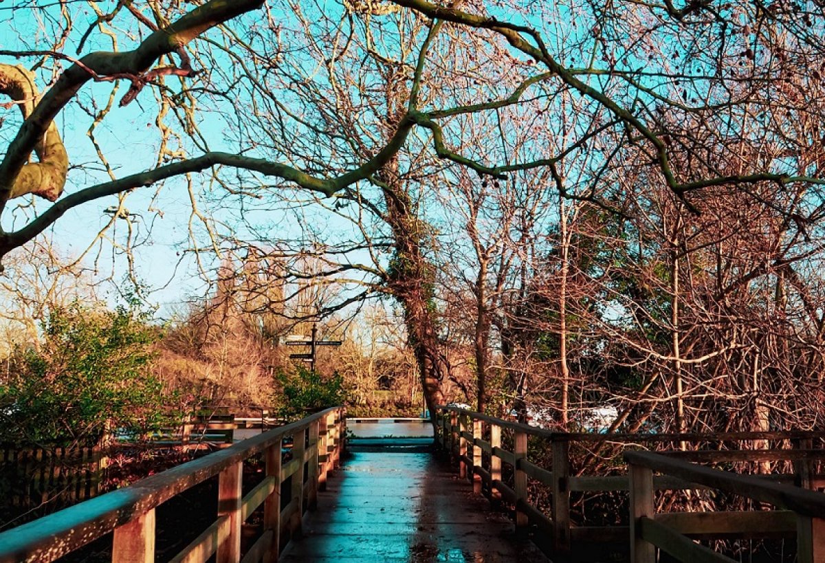 Весеннее тепло: до +16 градусов пообещали в Алматы