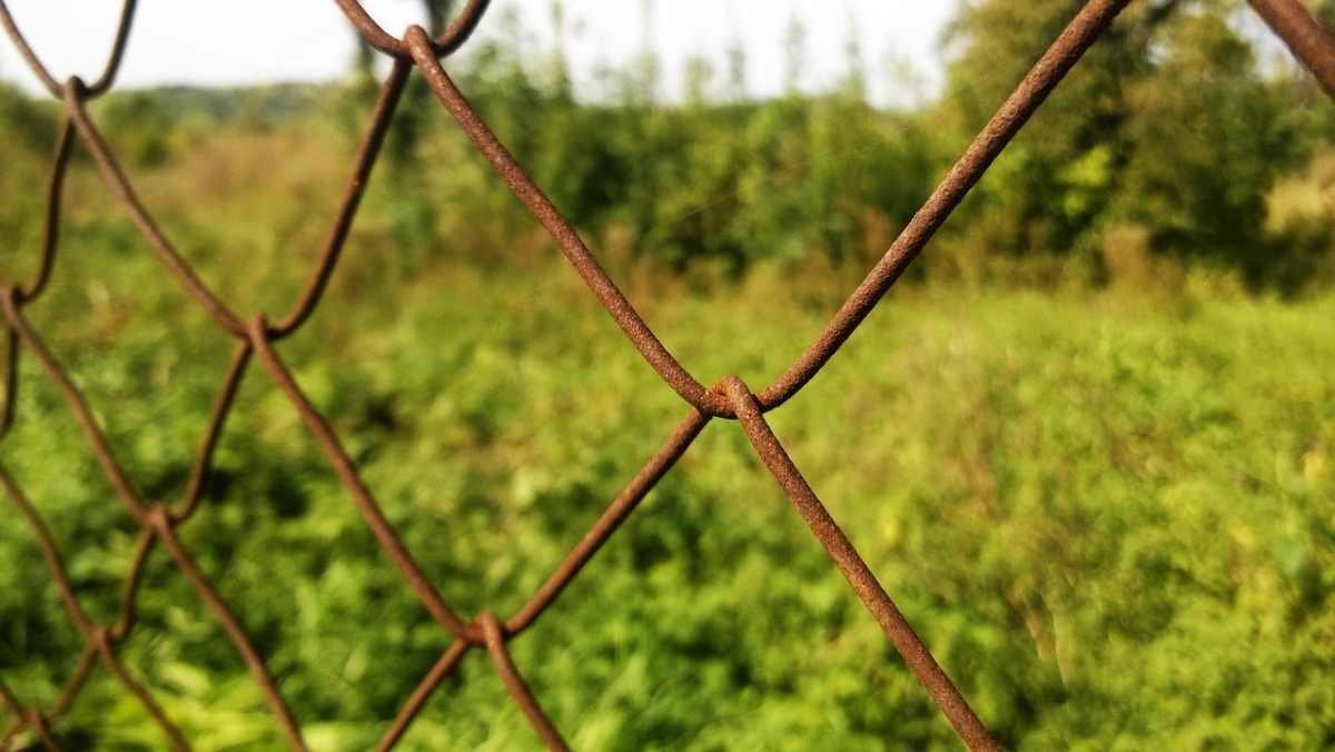 Прокуратура Алматы спасла бюджет от потери более 800 млн тенге