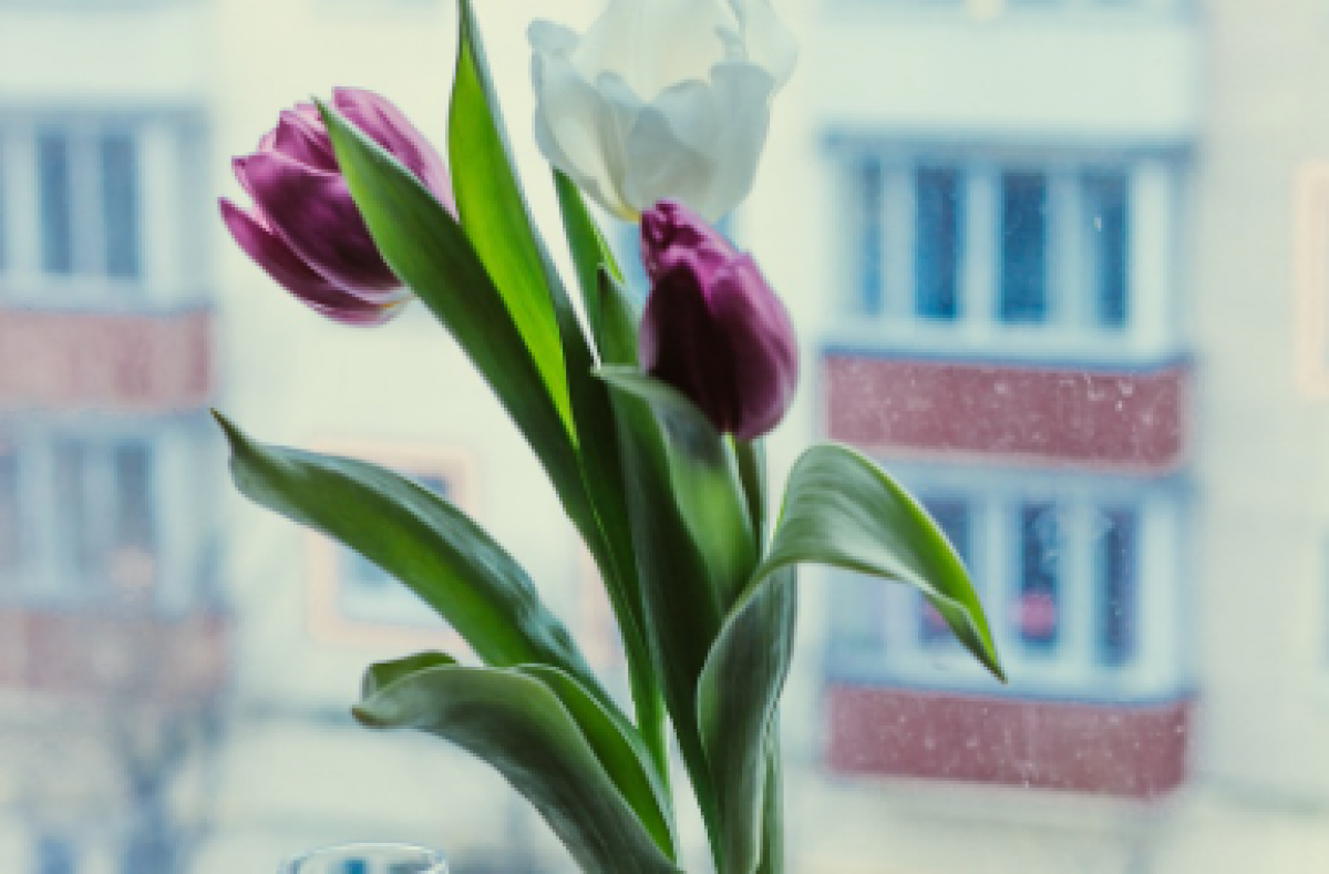 Казахстанцев предупреждают о гололеде, тумане и ветре