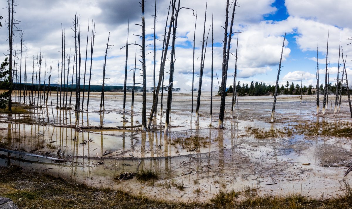 Горячий источник в Мангистау превратился в свалку