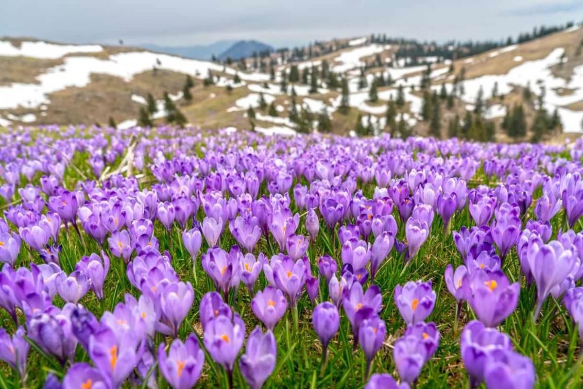 Погода порадует жителей Алматы теплом и солнцем