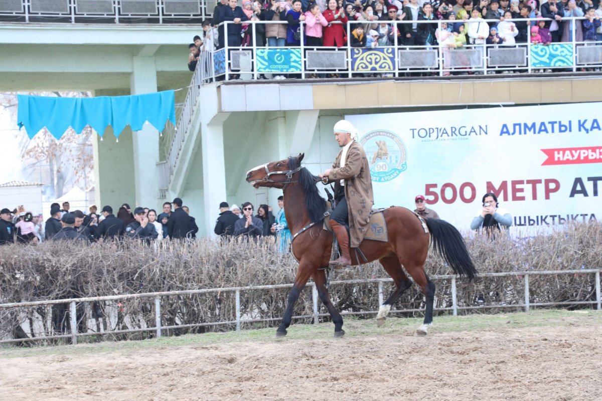 Казахстанец преодолел 500 метров на коне со скоростью 60 км/ч