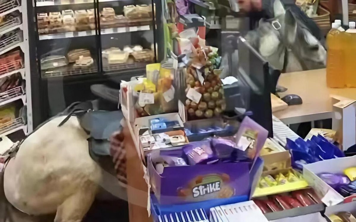 На белом коне въехал прямо в магазин россиянин в Сочи