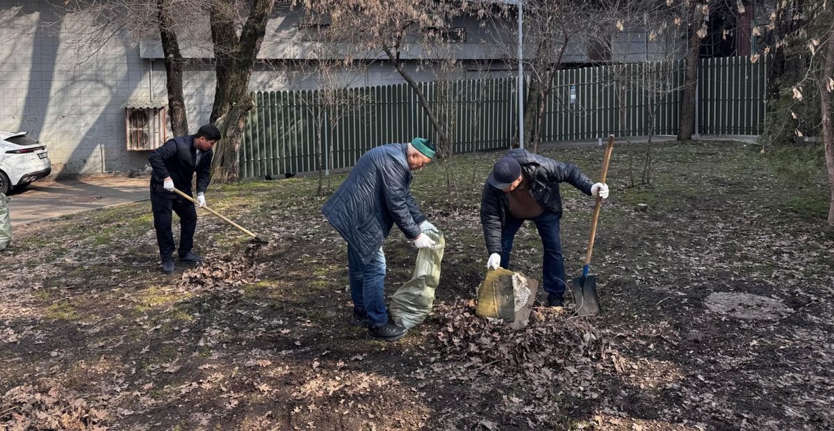 В Тазару күні по всему Казахстану участие приняли 87 тыс. человек