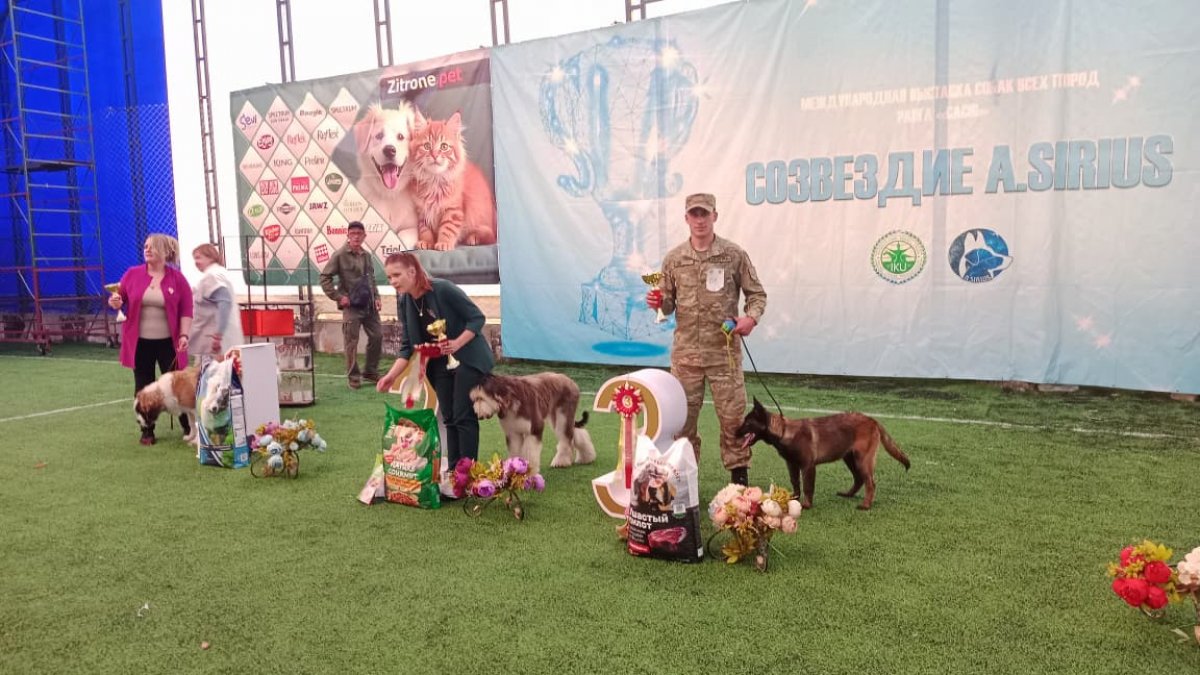 Служебные собаки Национальной гвардии РК подтвердили высокий уровень подготовки