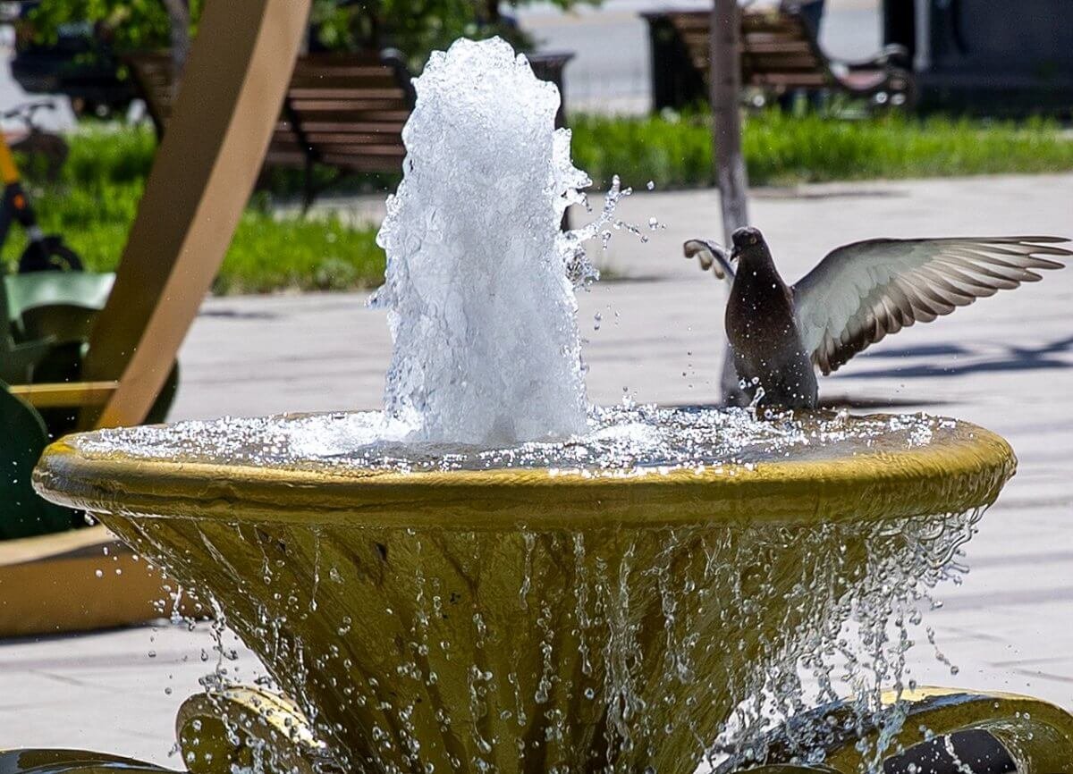 После жары +30 Шымкент накроют ливни, грозы и шквал