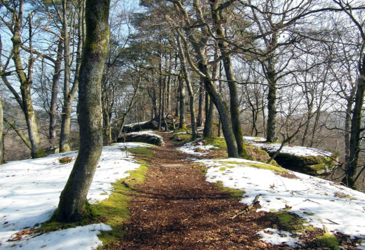 Погода готовит сюрпризы казахстанцам