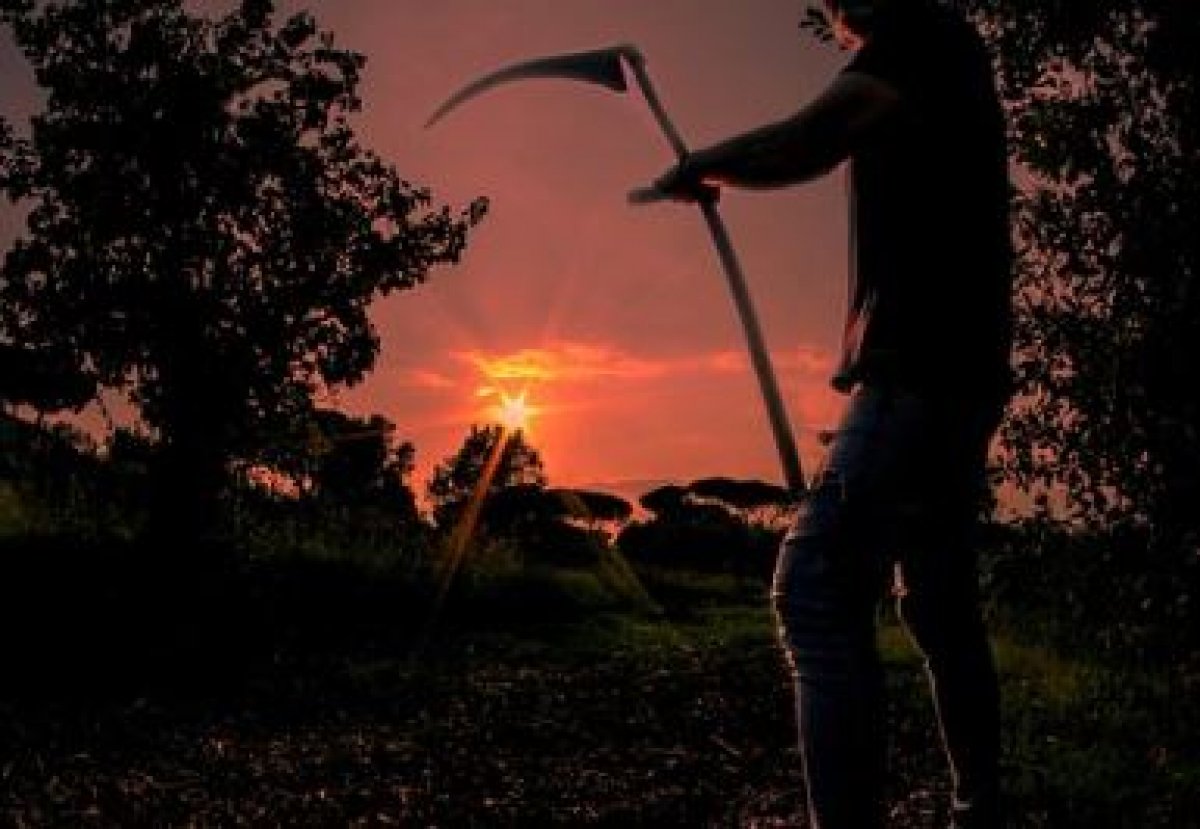 Мужчина обезглавил продавца и забрал его голову в Индии