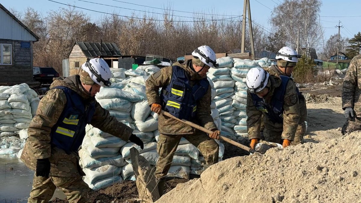 В режиме ЧС