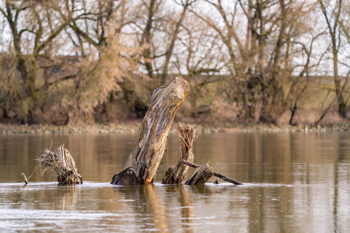 Водолазы, 90 человек и шесть беспилотников продолжают поиски ребенка в Актюбинской области (ВИДЕО)