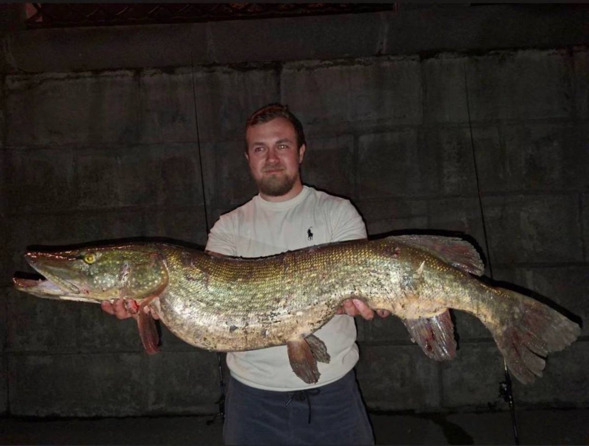 9-килограммовую щуку выловили в Москве-реке