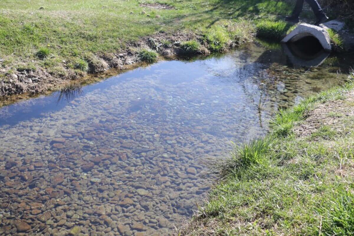 Жители пяти областей и города Шымкента поддержали республиканскую экоакцию "Мөлдір бұлақ"