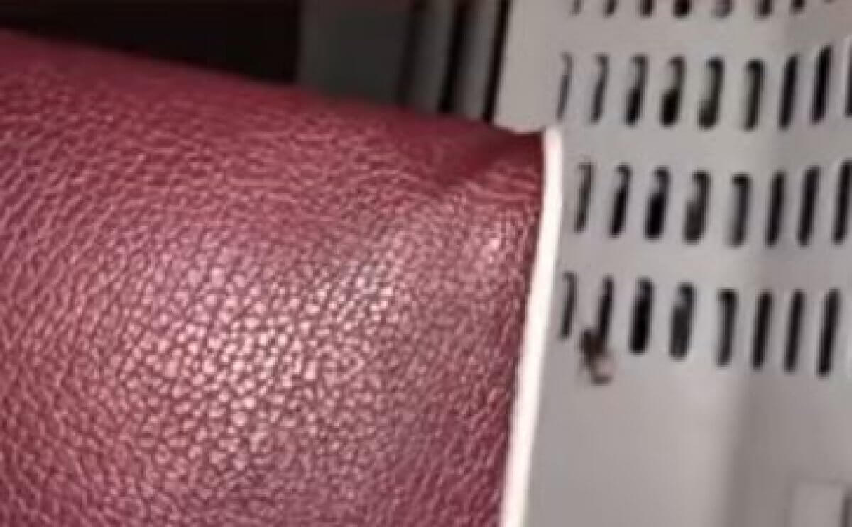 Тараканы бегали в вагоне поезда Караганда – Кокшетау