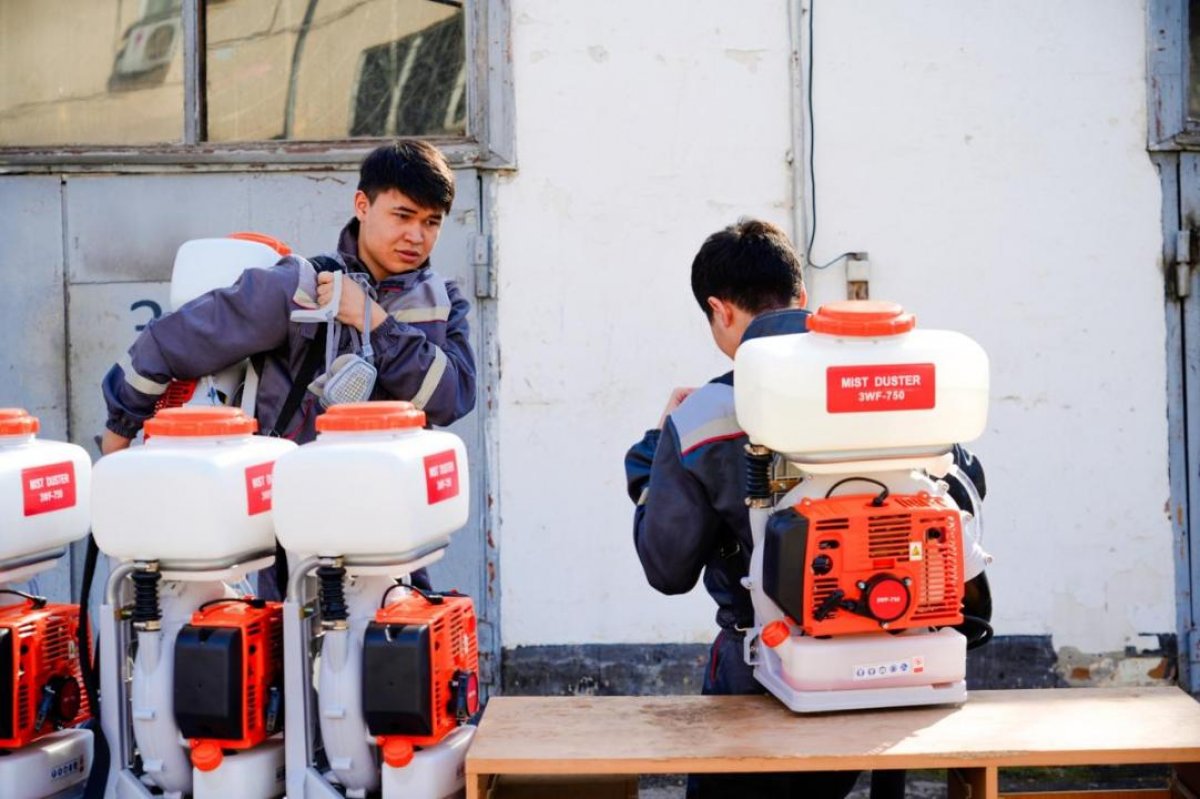 Как будут бороться с комарами и мошками в Астане (ВИДЕО)