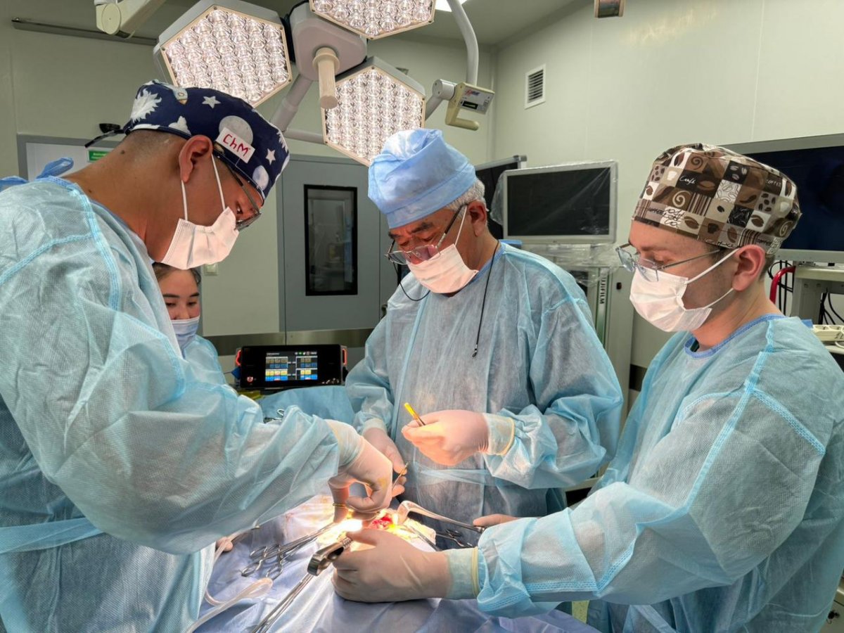 У юной алматинки врачи повторно извлекли из желудка комок волос