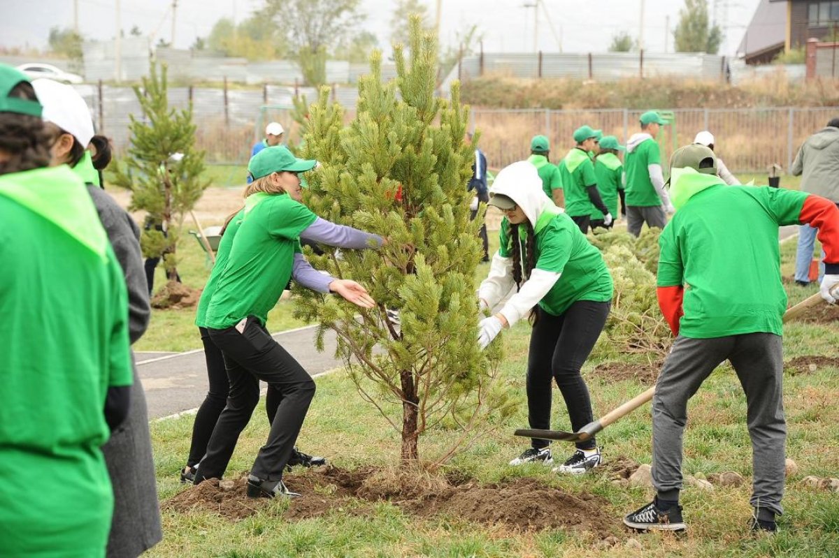 "Таза Қазақстан": более 550 тысяч деревьев и кустарников высадят в этом году в Алматы
