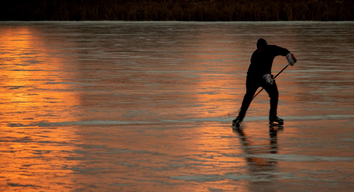 Экс-главу ХК "Кулагер" отправили в колонию в СКО