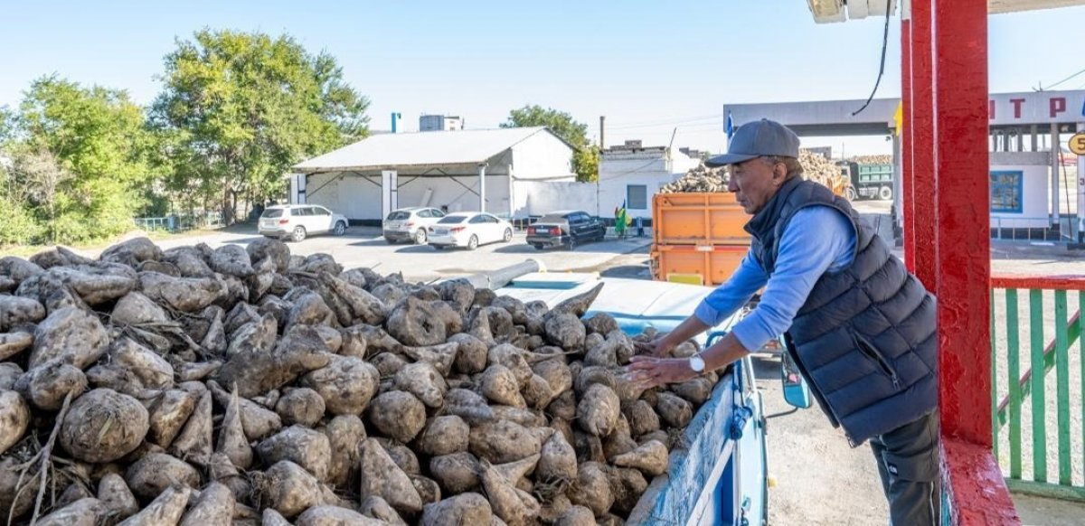 Сладость труда