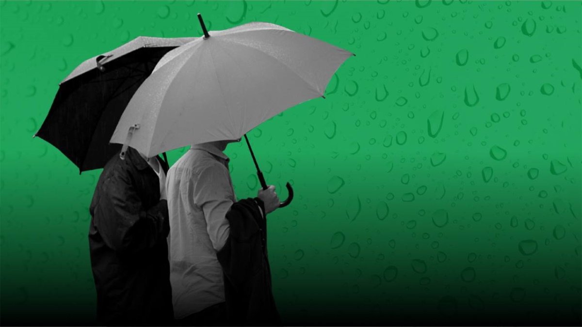 Понижение температуры и дожди ждут жителей Шымкента