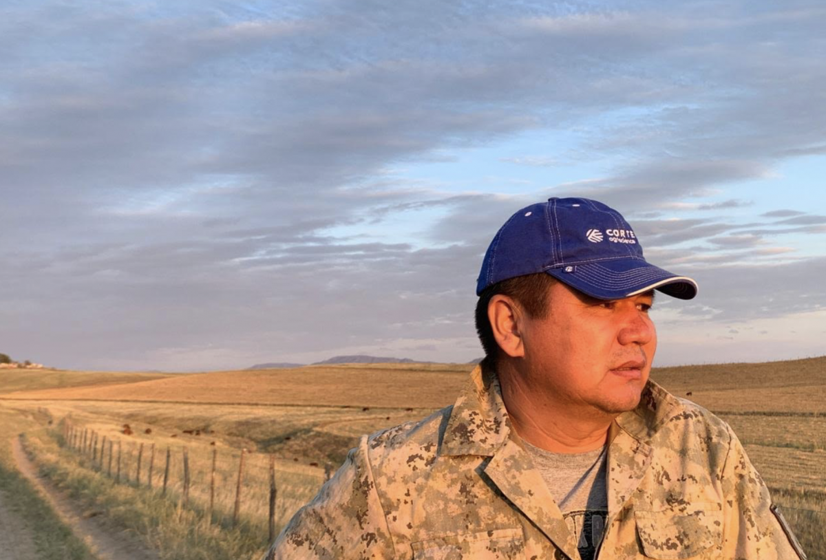 Пастбищная ловушка: как выносливость заменяет продуктивность