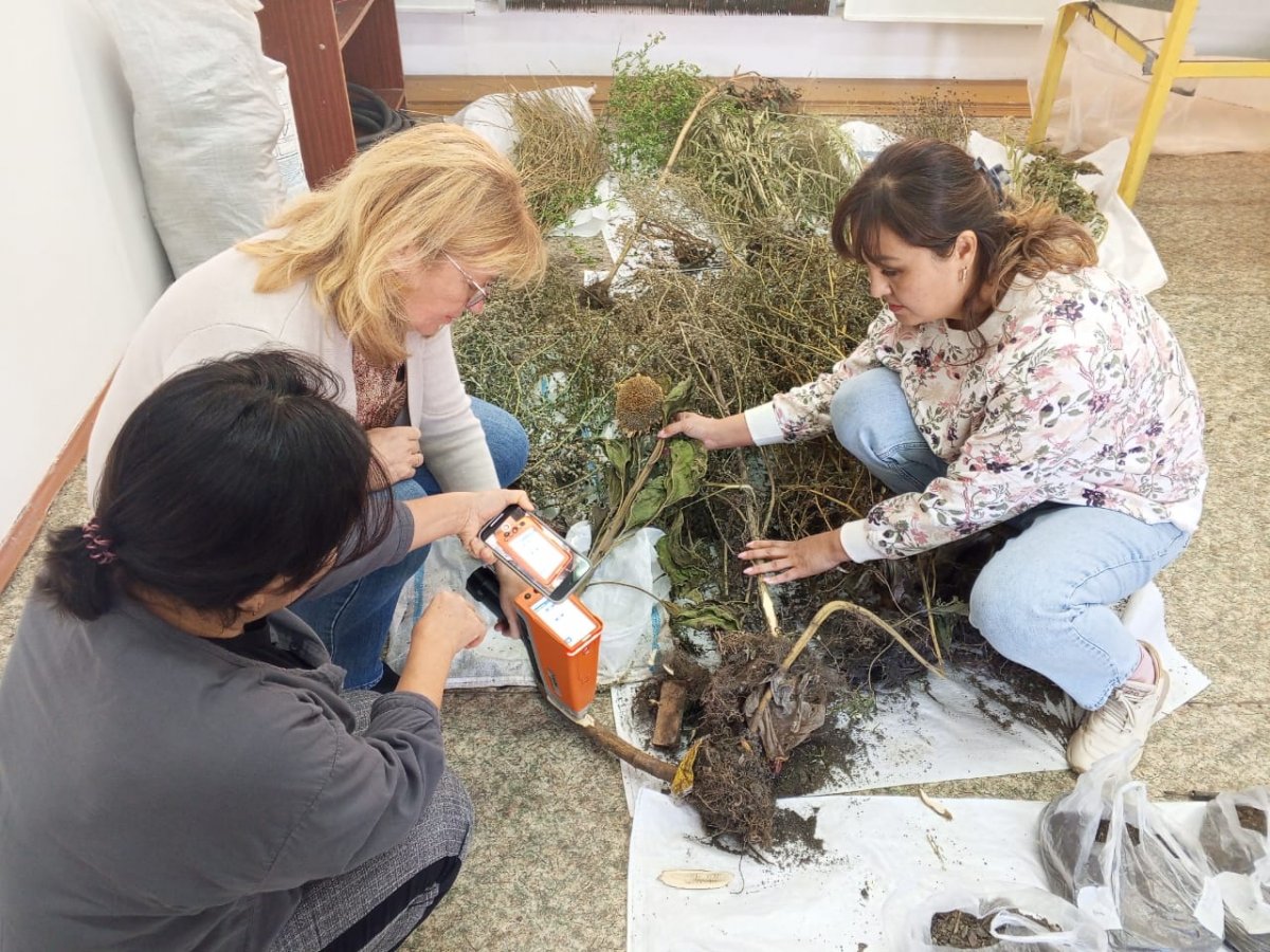 Безопасные и полезные отходы – в миллиардные доходы