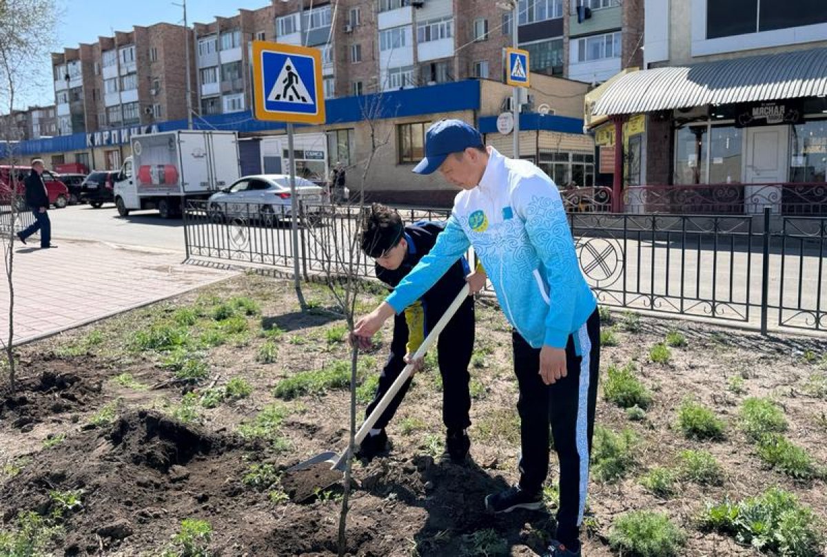 Чем дышит город