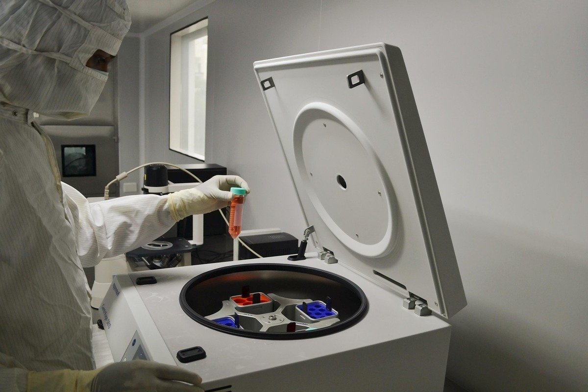 В США задумали выращивать человеческих клонов без мозга