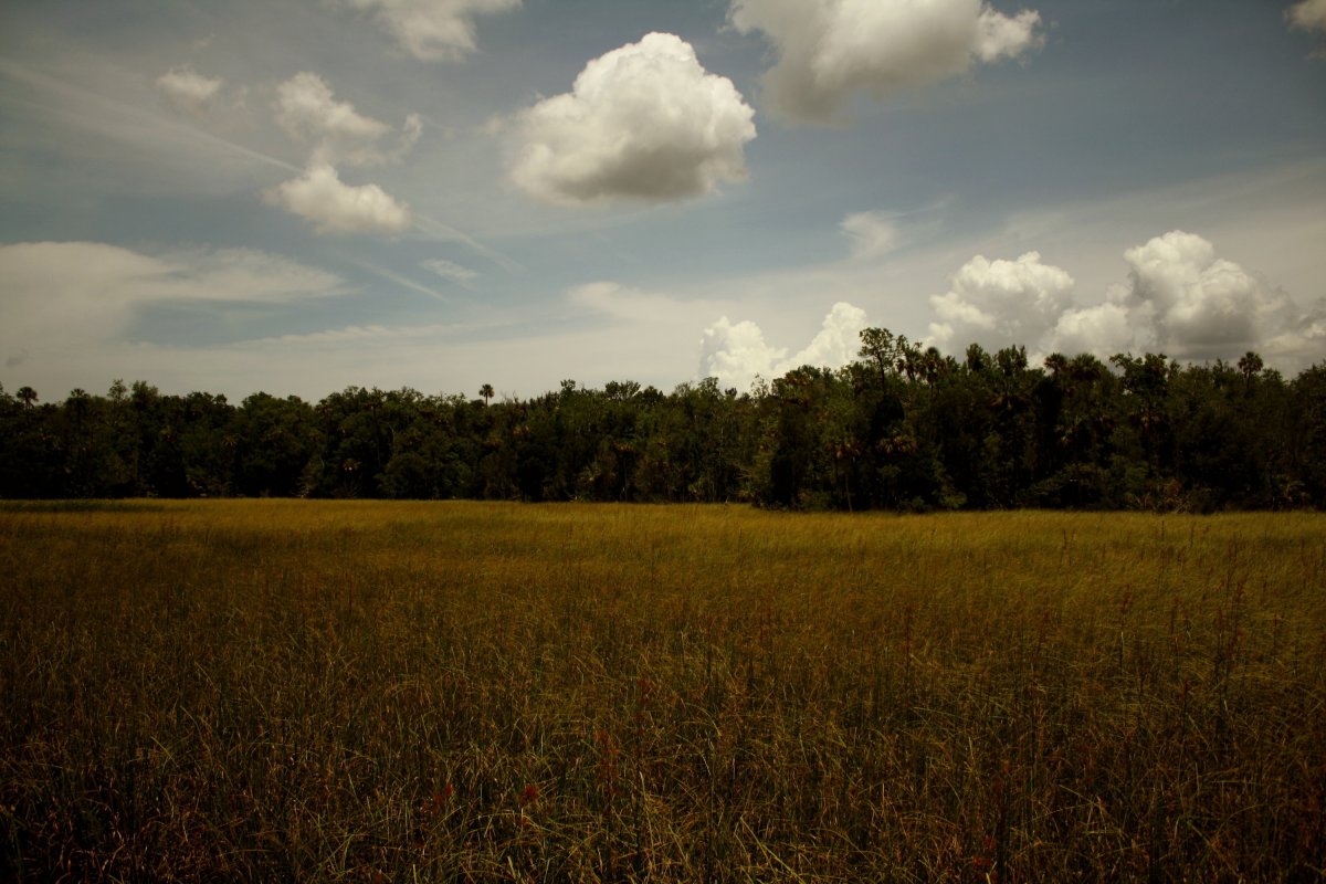Подмешал яд и убил: маньяка с Алтая задержали спустя 14 лет