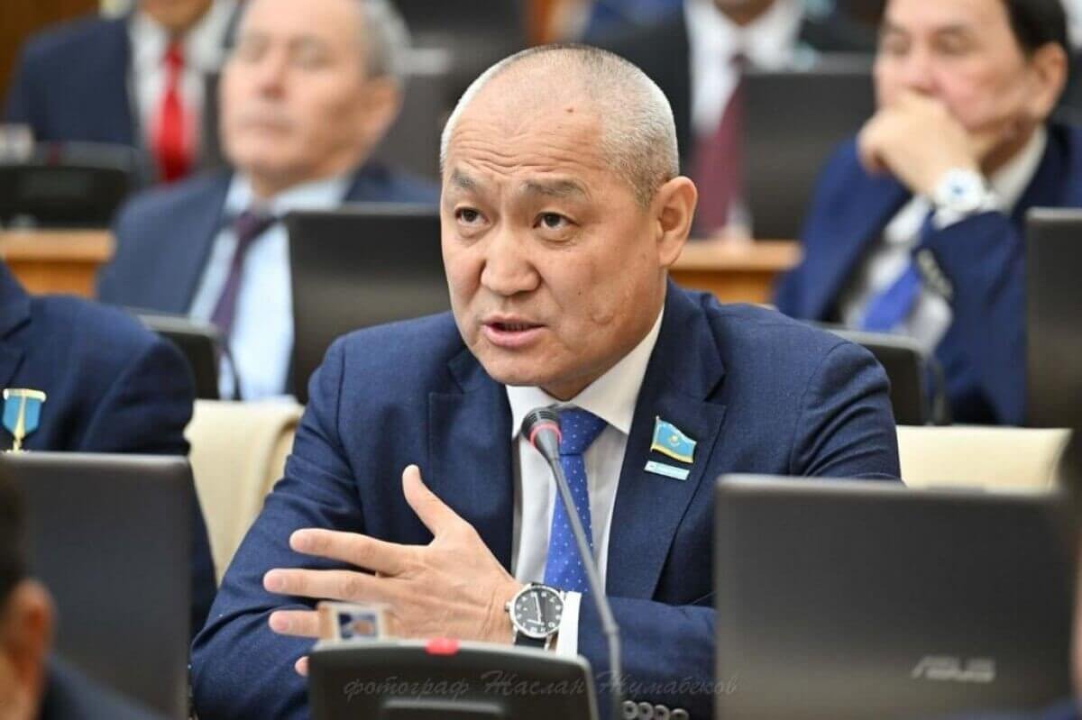 Содержание собаки в приюте дороже питания ребенка: мажилисмен пояснил норму о 5-дневном пребывании в приюте