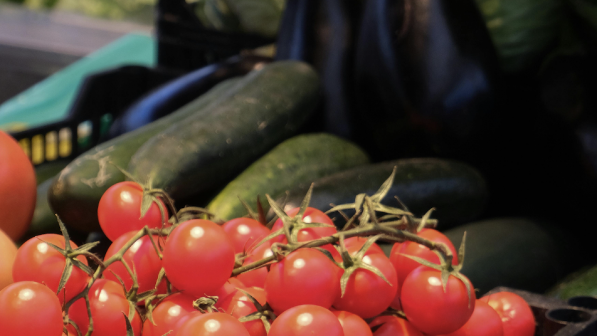 Казахстанские фермеры выходят в ретейл: в стране станет больше магазинов с прямыми ценами