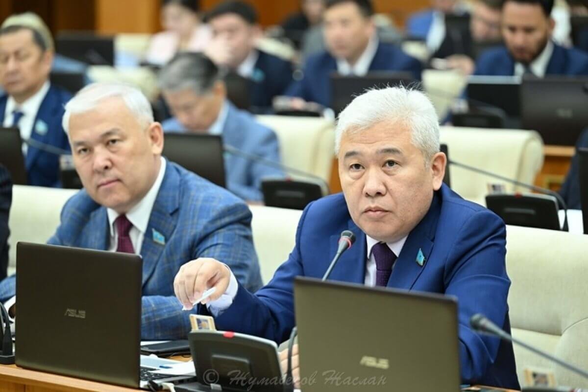 Гуманная модель работает лишь с последствиями: депутат объяснил необходимость закона о животных