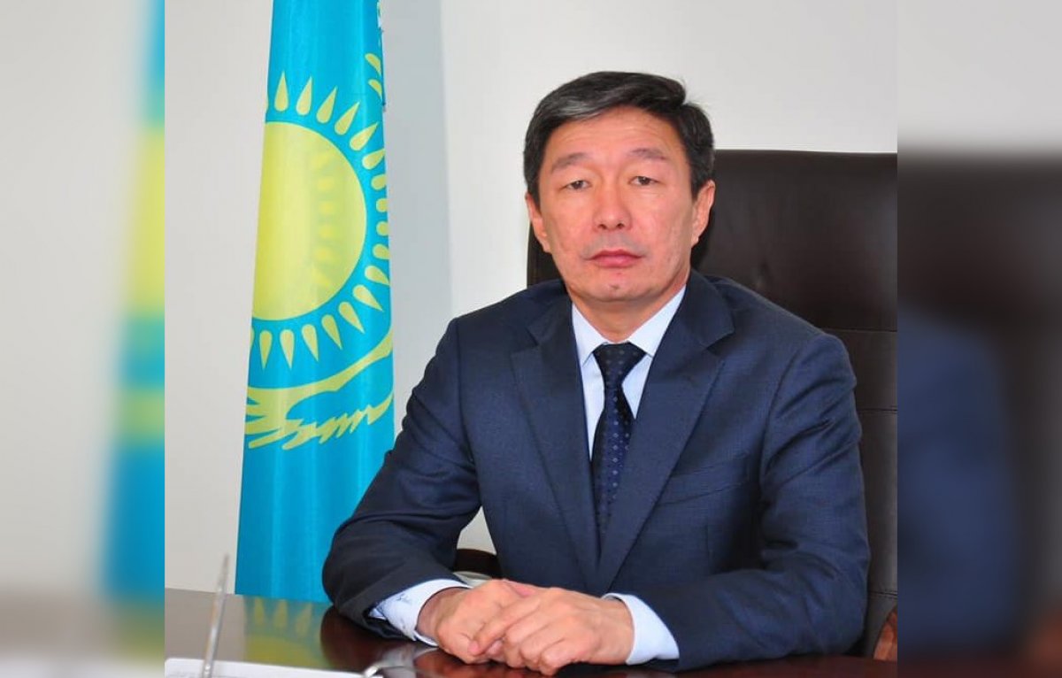 Безопасность общества должна стоять на первом месте: в Казахстане обсуждают закон об ответственном содержании животных